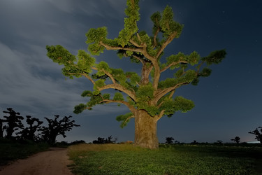 Similar image 22128577