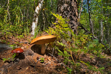 Similar image 22128578