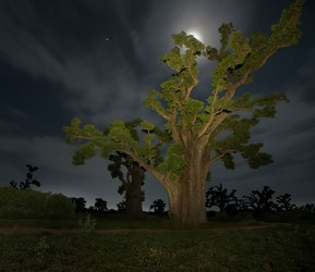 Similar image 22128593