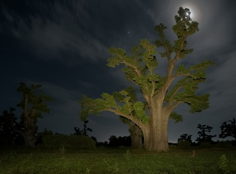 Similar image 22128594