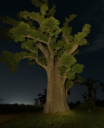 Similar image 22128595