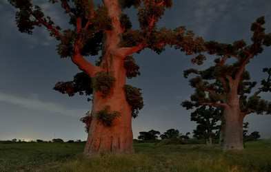 Similar image 22128596