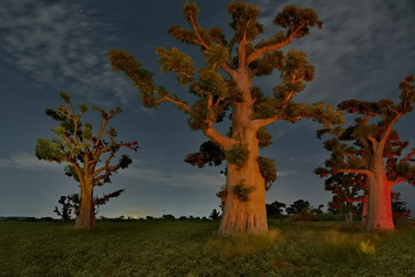 Similar image 22128597