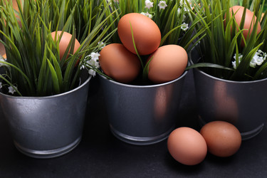 Similar image 22130296