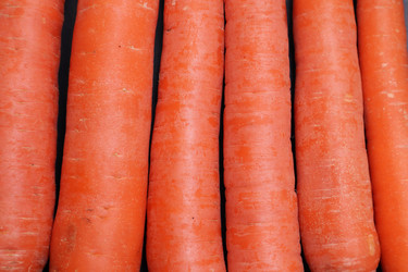 Similar image 22130302