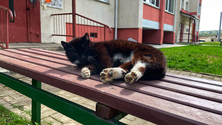 Similar image 22127443