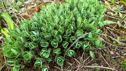 Similar image 22127446