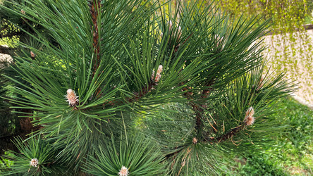 Similar image 22127448