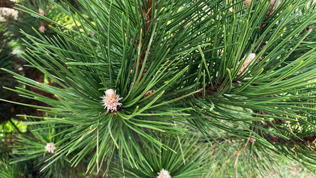 Similar image 22127449