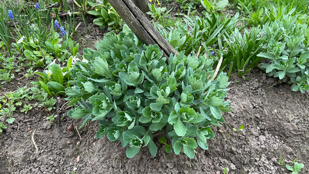 Similar image 22127454