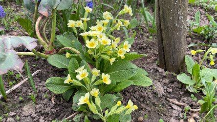 Similar image 22127456