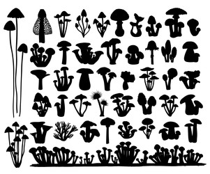 Similar image 22128412