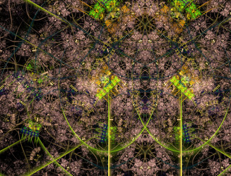 Similar image 22131155