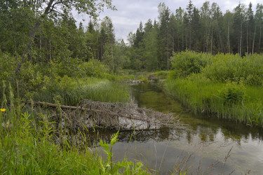 Similar image 22127590