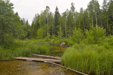 Similar image 22127591