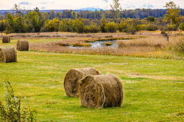 Similar image 22128413