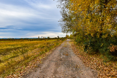 Similar image 22128414