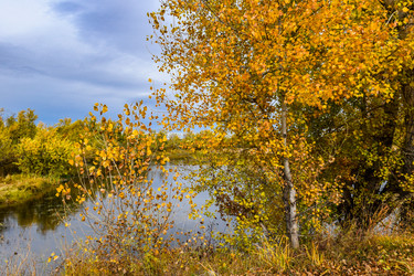 Similar image 22128415