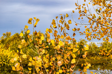 Similar image 22128417