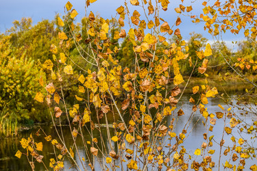 Similar image 22128418