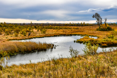 Similar image 22128419