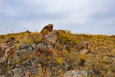 Similar image 22128420