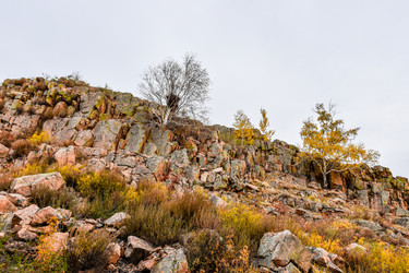 Similar image 22128424