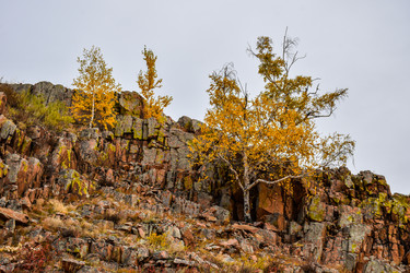 Similar image 22128425