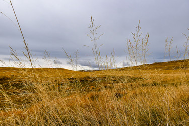 Similar image 22128428