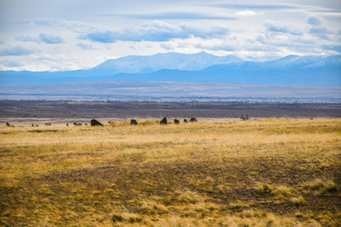 Similar image 22128429