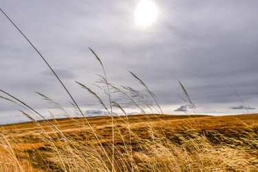 Similar image 22128430