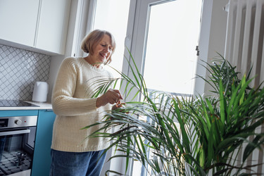 Similar image 22129964