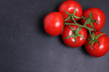 Similar image 22130337