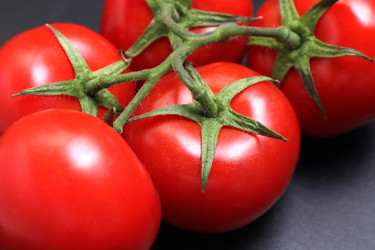 Similar image 22130479