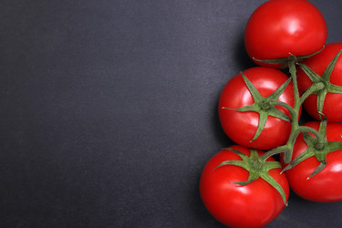 Similar image 22130571