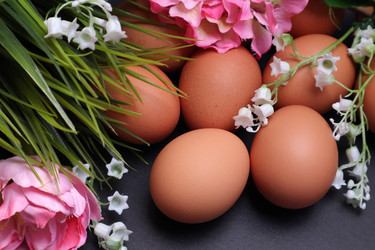 Similar image 22131506