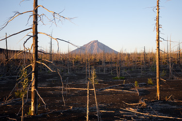 Similar image 22128711