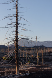 Similar image 22128713