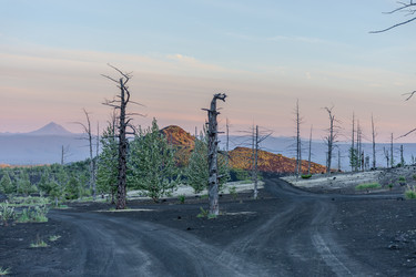 Similar image 22128719