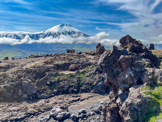 Similar image 22128720