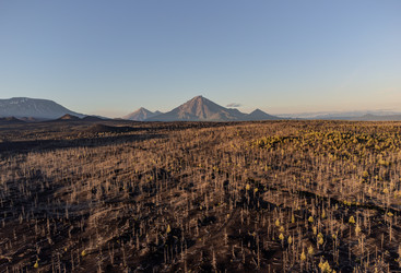 Similar image 22128721