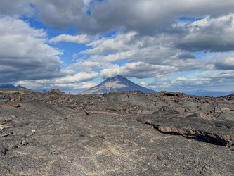 Similar image 22128736