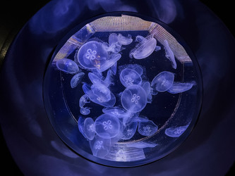 Similar image 22128740