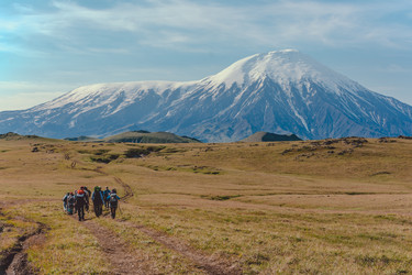 Similar image 22128742