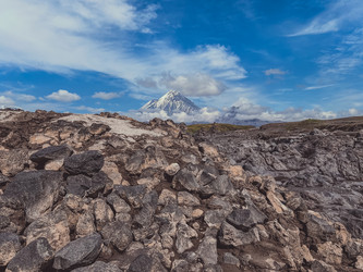 Similar image 22128743