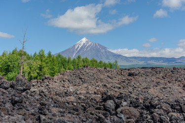 Similar image 22128755