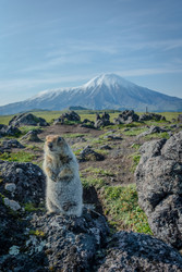 Similar image 22128763