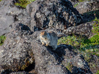 Similar image 22128943