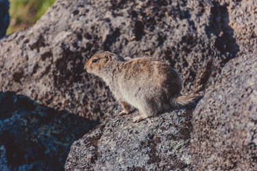 Similar image 22128945