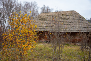 Similar image 22128955